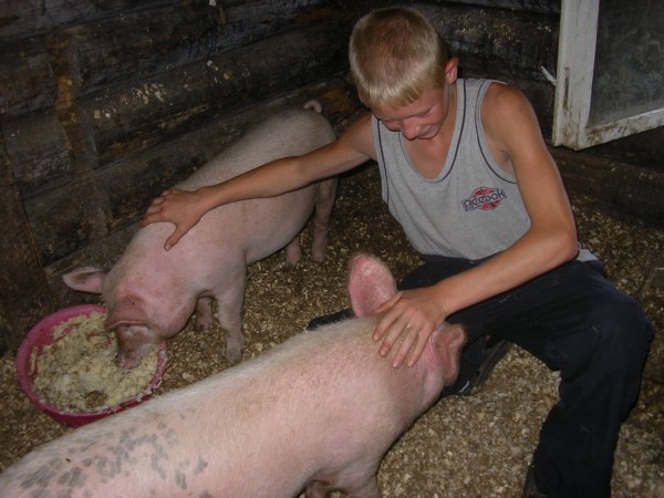 «Школа фермеров» превращает сирот в предпринимателей